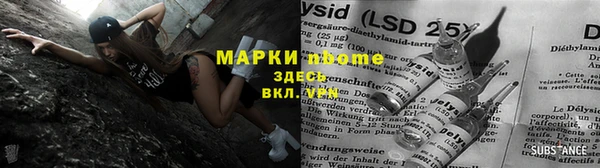 индика Приозерск