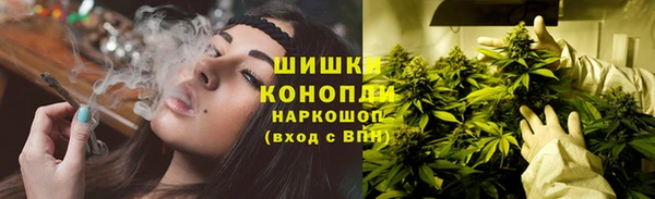 прущие грибы Протвино