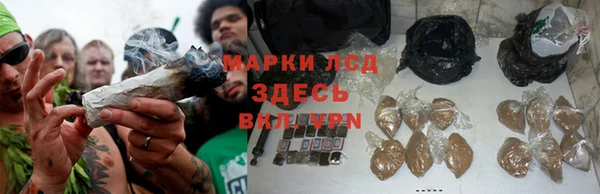 твердый Покачи