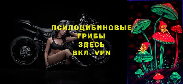 твердый Покачи