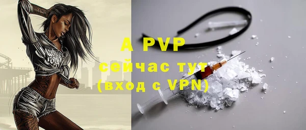 индика Приозерск