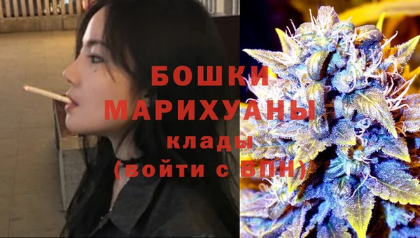 индика Приозерск